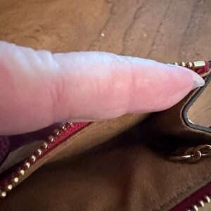 Beautiful young woman